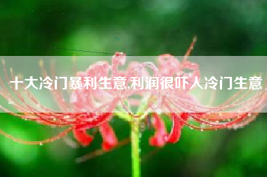 十大冷门暴利生意,利润很吓人冷门生意