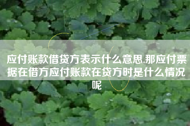 应付账款借贷方表示什么意思,那应付票据在借方应付账款在贷方时是什么情况呢