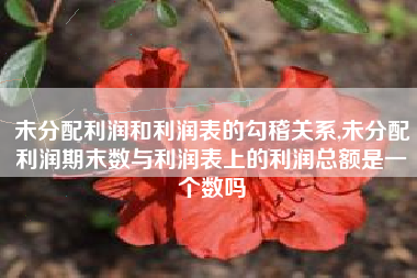 未分配利润和利润表的勾稽关系,未分配利润期末数与利润表上的利润总额是一个数吗