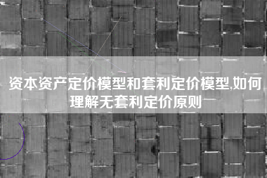 资本资产定价模型和套利定价模型,如何理解无套利定价原则