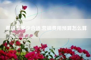 费用率多少合适,营销费用预算怎么算