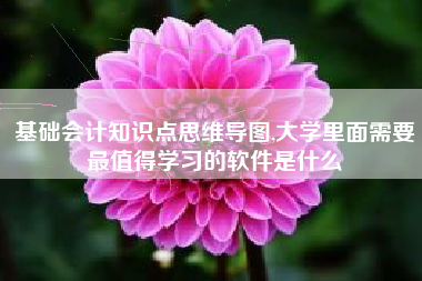 基础会计知识点思维导图,大学里面需要最值得学习的软件是什么