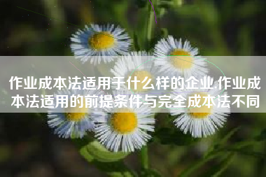 作业成本法适用于什么样的企业,作业成本法适用的前提条件与完全成本法不同