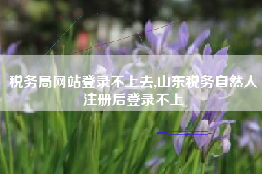 税务局网站登录不上去,山东税务自然人注册后登录不上