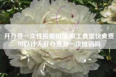 开办费一次性税前扣除,职工食堂伙食费可以计入开办费并一次摊销吗