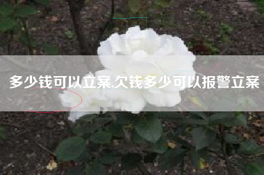 多少钱可以立案,欠钱多少可以报警立案