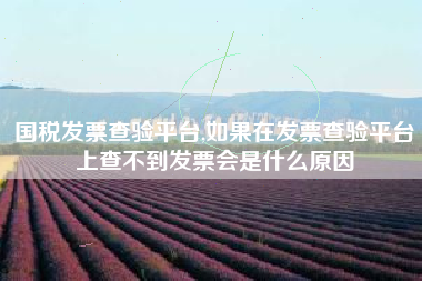 国税发票查验平台,如果在发票查验平台上查不到发票会是什么原因