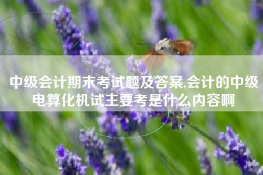 中级会计期末考试题及答案,会计的中级电算化机试主要考是什么内容啊