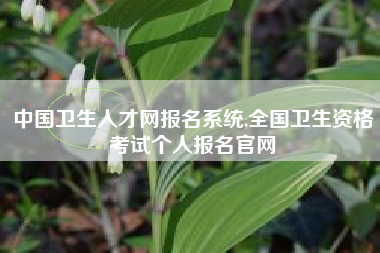 中国卫生人才网报名系统,全国卫生资格考试个人报名官网