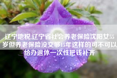 辽宁地税,辽宁省社会养老保险沈阳女55岁但养老保险没交够15年这样的可不可以给办退休一次性把钱补齐