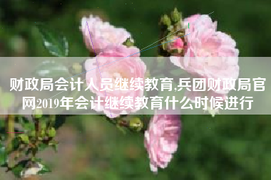 财政局会计人员继续教育,兵团财政局官网2019年会计继续教育什么时候进行