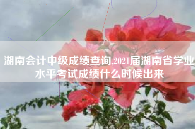 湖南会计中级成绩查询,2021届湖南省学业水平考试成绩什么时候出来