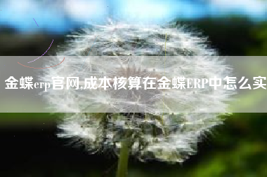 金蝶erp官网,成本核算在金蝶ERP中怎么实