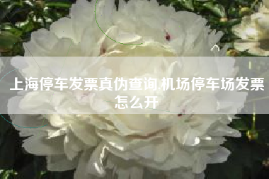 上海停车发票真伪查询,机场停车场发票怎么开