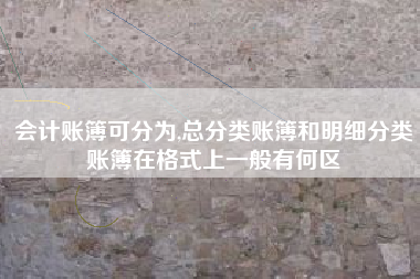 会计账簿可分为,总分类账簿和明细分类账簿在格式上一般有何区