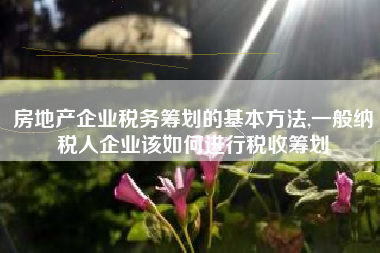 房地产企业税务筹划的基本方法,一般纳税人企业该如何进行税收筹划
