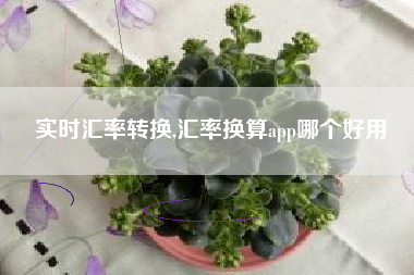 实时汇率转换,汇率换算app哪个好用