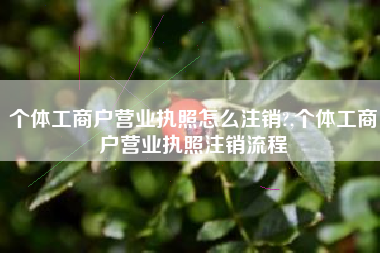 个体工商户营业执照怎么注销?,个体工商户营业执照注销流程
