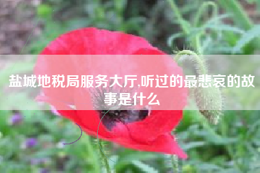 盐城地税局服务大厅,听过的最悲哀的故事是什么