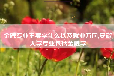 金融专业主要学什么以及就业方向,安徽大学专业包括金融学