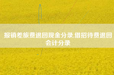 报销差旅费退回现金分录,借招待费退回会计分录