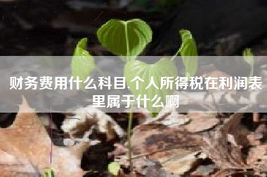 财务费用什么科目,个人所得税在利润表里属于什么啊