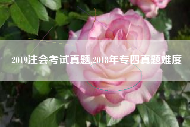 2019注会考试真题,2018年专四真题难度