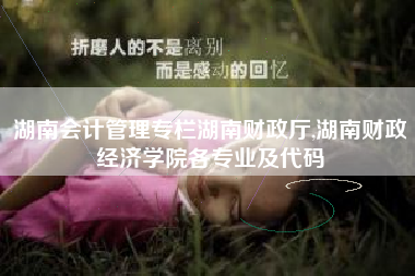 湖南会计管理专栏湖南财政厅,湖南财政经济学院各专业及代码