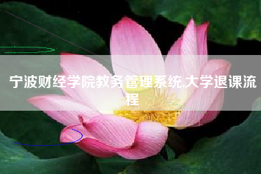 宁波财经学院教务管理系统,大学退课流程