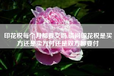 印花税每个月都要交吗,请问印花税是买方还是卖方付还是双方都要付