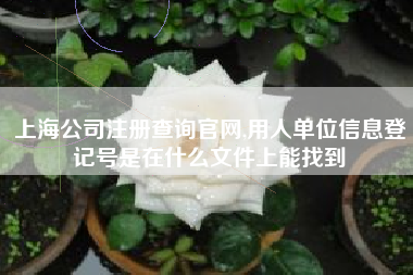 上海公司注册查询官网,用人单位信息登记号是在什么文件上能找到