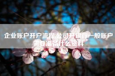 企业账户开户流程,公司开银行一般账户需要准备什么资料