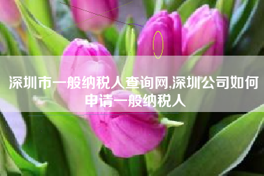 深圳市一般纳税人查询网,深圳公司如何申请一般纳税人