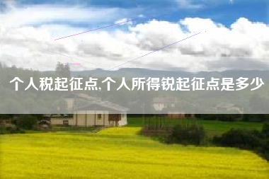 个人税起征点,个人所得锐起征点是多少