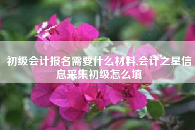 初级会计报名需要什么材料,会计之星信息采集初级怎么填