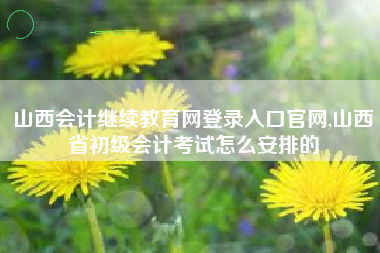 山西会计继续教育网登录入口官网,山西省初级会计考试怎么安排的