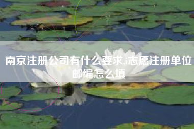 南京注册公司有什么要求,i志愿注册单位邮编怎么填