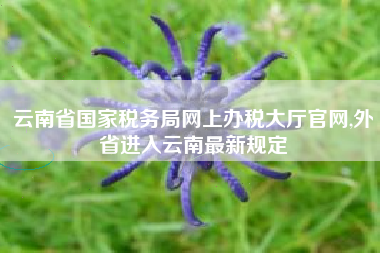 云南省国家税务局网上办税大厅官网,外省进入云南最新规定