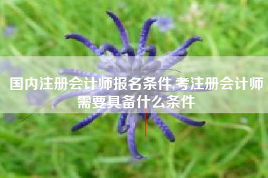 国内注册会计师报名条件,考注册会计师需要具备什么条件