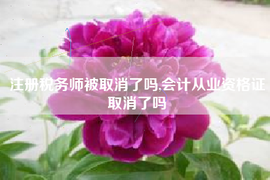 注册税务师被取消了吗,会计从业资格证取消了吗