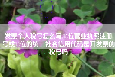 发票个人税号怎么写,15位营业执照注册号或18位的统一社会信用代码是开发票的税号吗