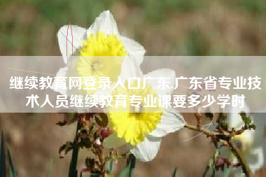 继续教育网登录入口广东,广东省专业技术人员继续教育专业课要多少学时