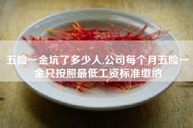 五险一金坑了多少人,公司每个月五险一金只按照最低工资标准缴纳