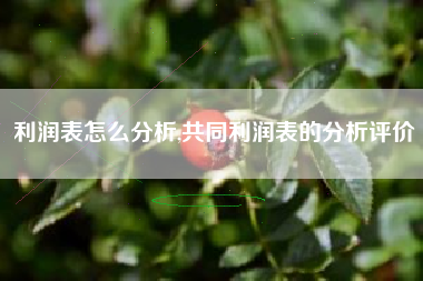 利润表怎么分析,共同利润表的分析评价