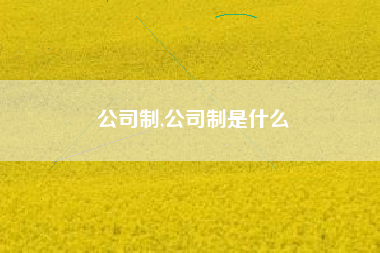 公司制,公司制是什么