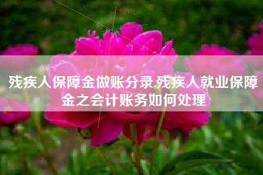 残疾人保障金做账分录,残疾人就业保障金之会计账务如何处理