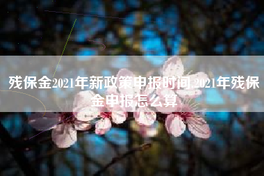 残保金2021年新政策申报时间,2021年残保金申报怎么算