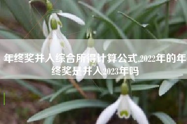 年终奖并入综合所得计算公式,2022年的年终奖是并入2023年吗