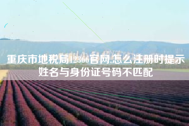 重庆市地税局12366官网,怎么注册时提示姓名与身份证号码不匹配
