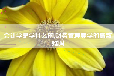 会计学是学什么的,财务管理要学的高数难吗
